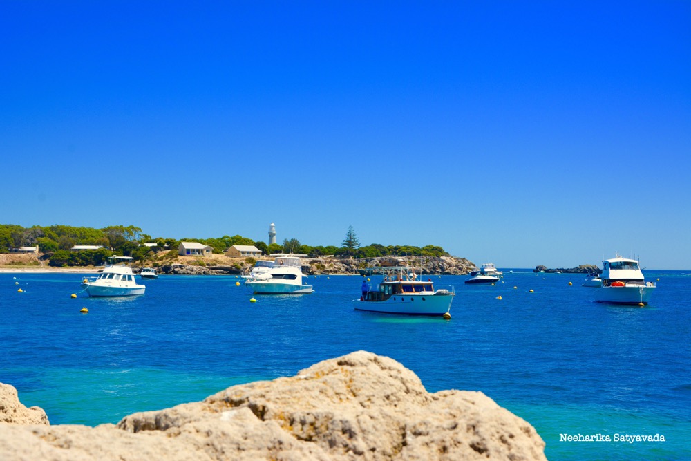 rottnest island_perth_australia