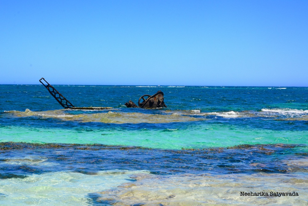 rottnest island_perth_australia