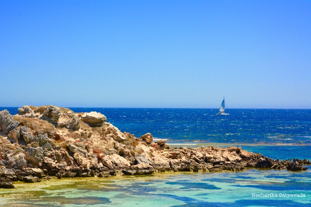 rottnest island_perth_australia