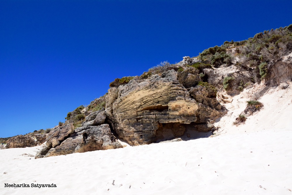 rottnest island_perth_australia