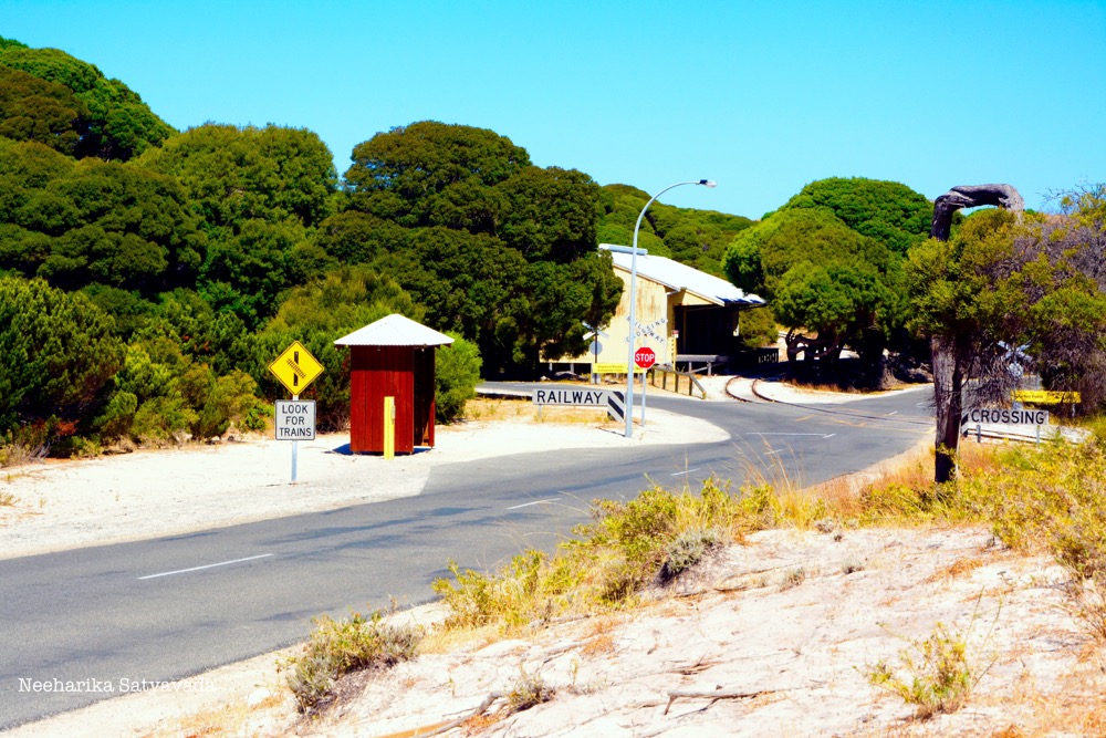 rottnest island_perth_australia