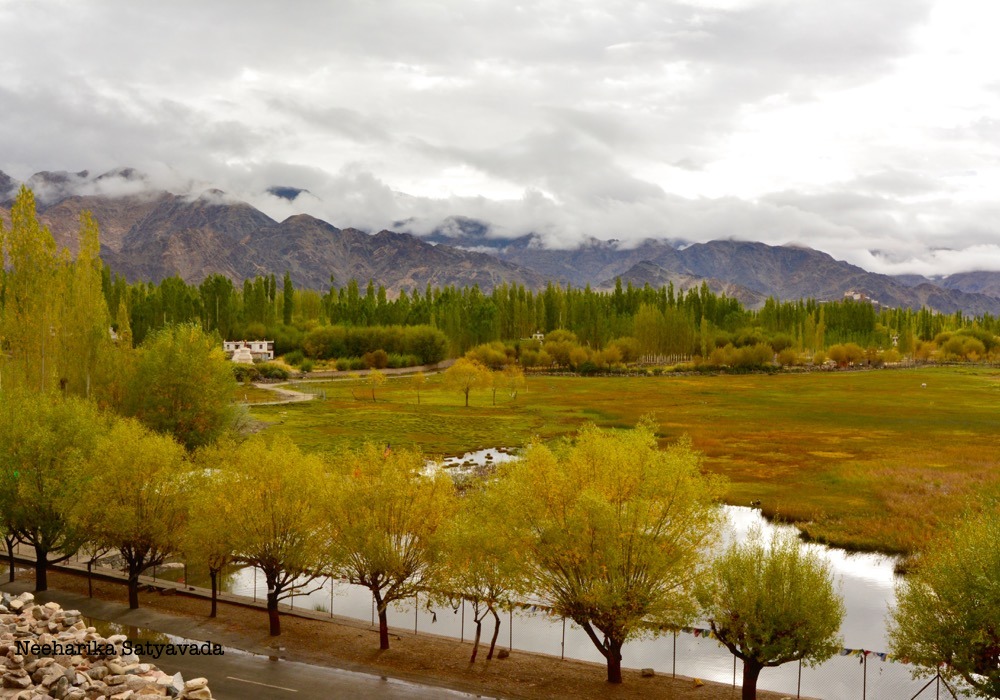 shey palace_ladakh_india