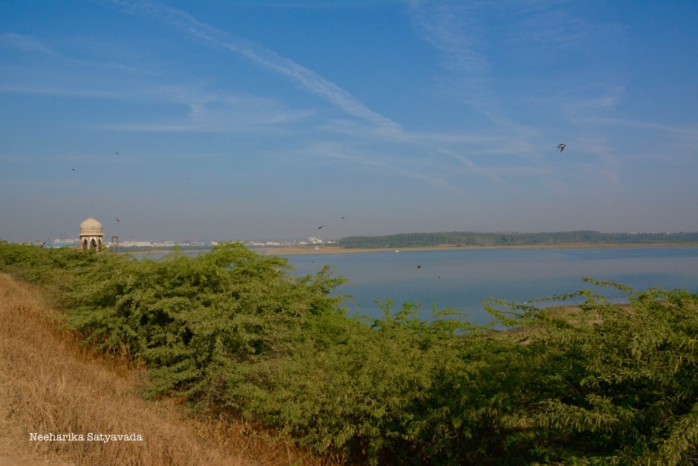 _DSC7507 copy