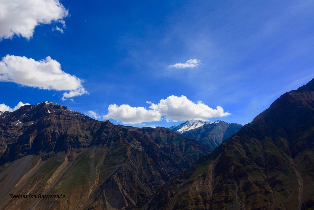 DSC_0847 (1)