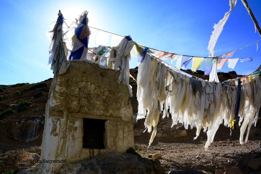 DSC_0859 (1)