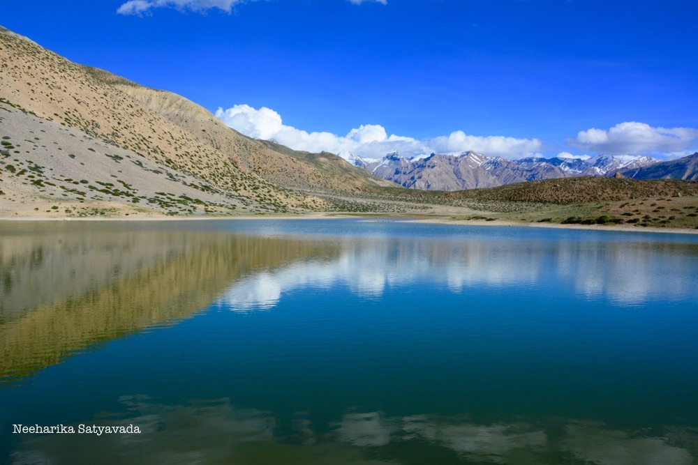 DSC_0864 (1)