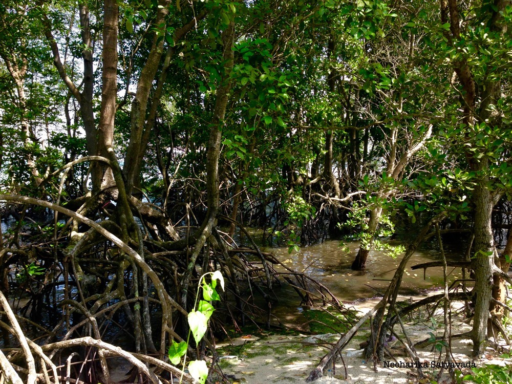 Pulau Ubin_Singapore Islands