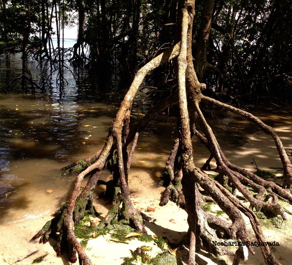 Pulau Ubin_Singapore Islands
