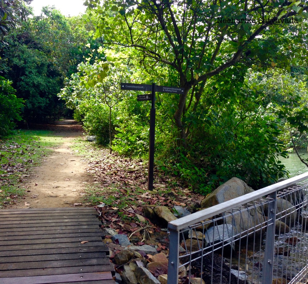 Pulau Ubin_Singapore Islands