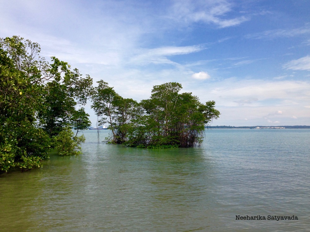 Pulau Ubin_12