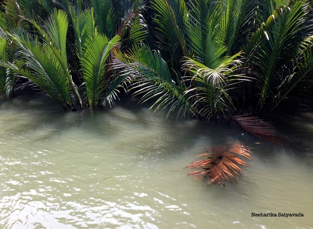 Pulau Ubin_Singapore Islands