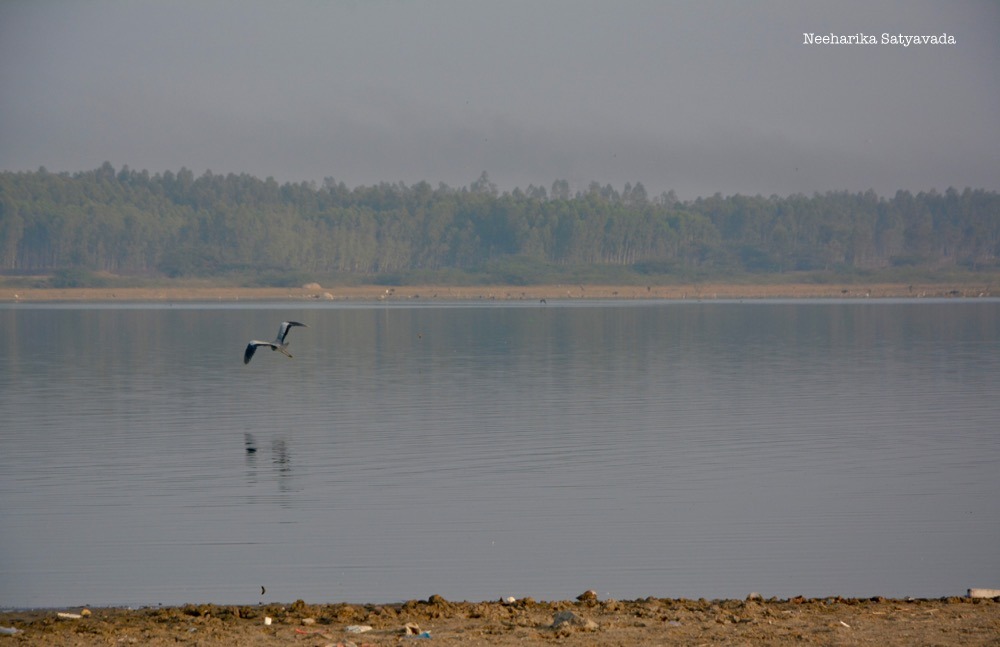 Fox Sagar_Hyderabad Lakes