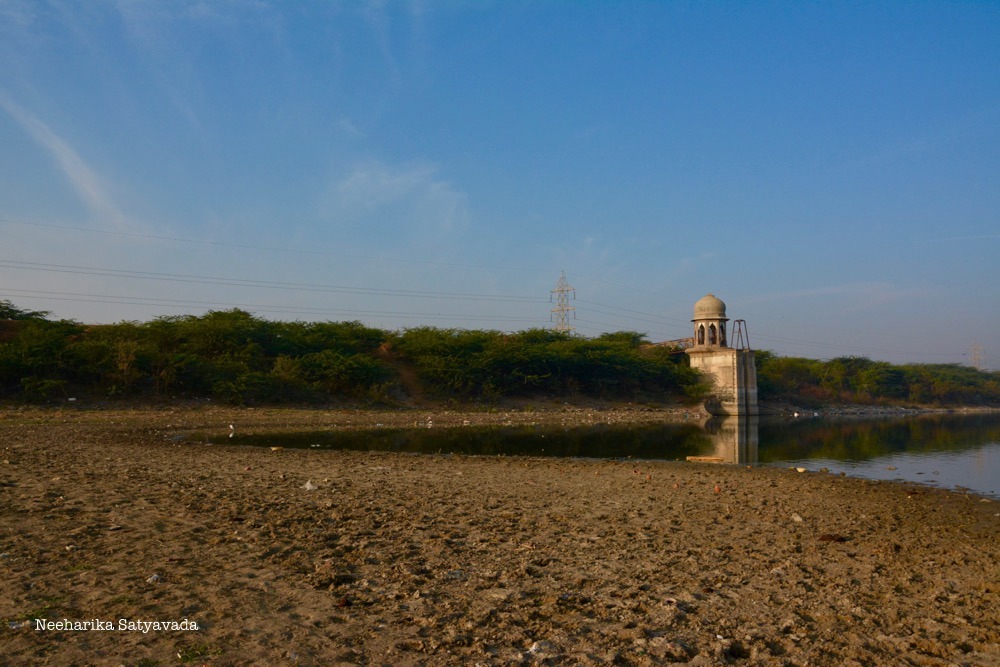 _DSC7394 (1)