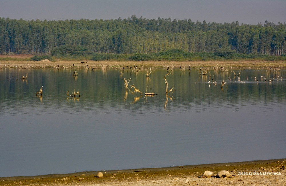 _DSC7460 (1)