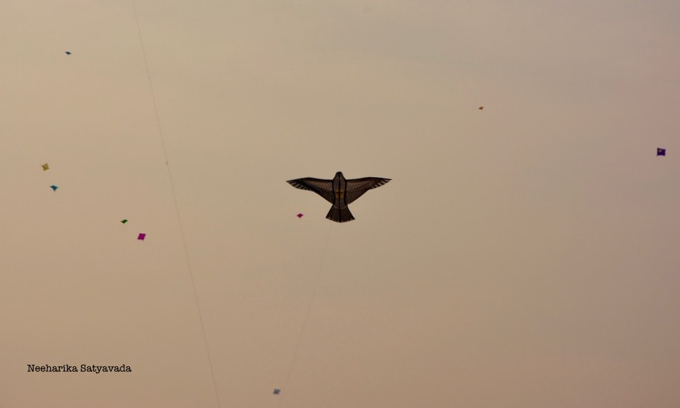 Kites_Indian Festivals