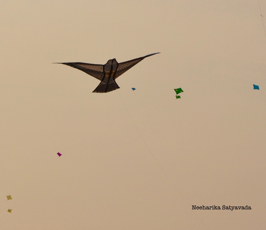 Kites_Indian Festivals