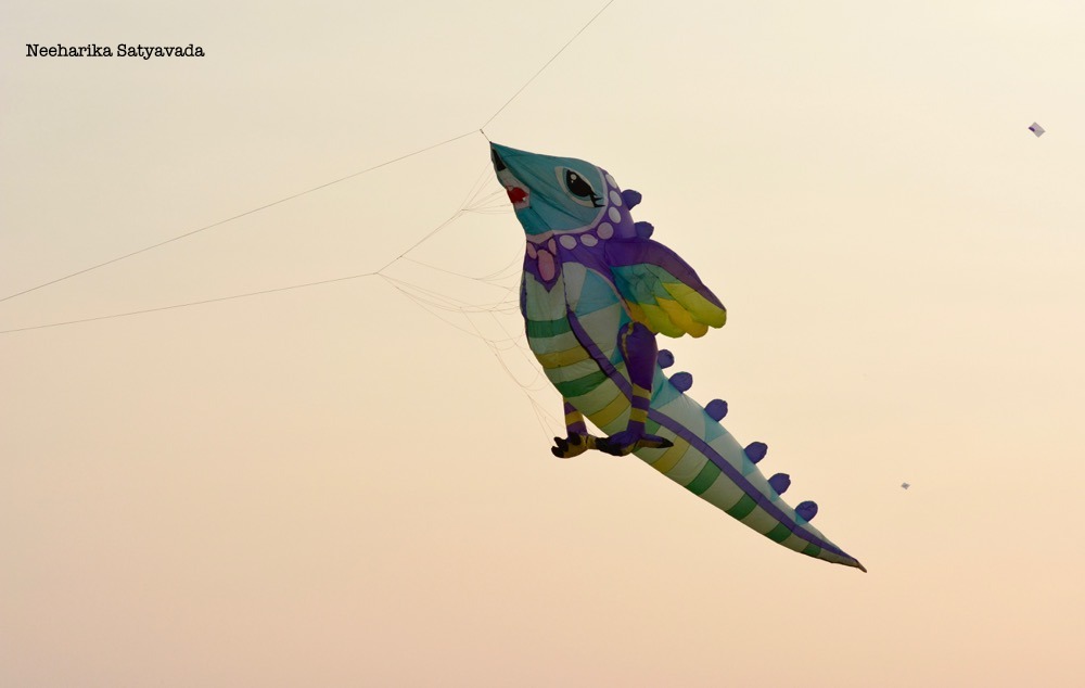 Kites_Indian Festivals
