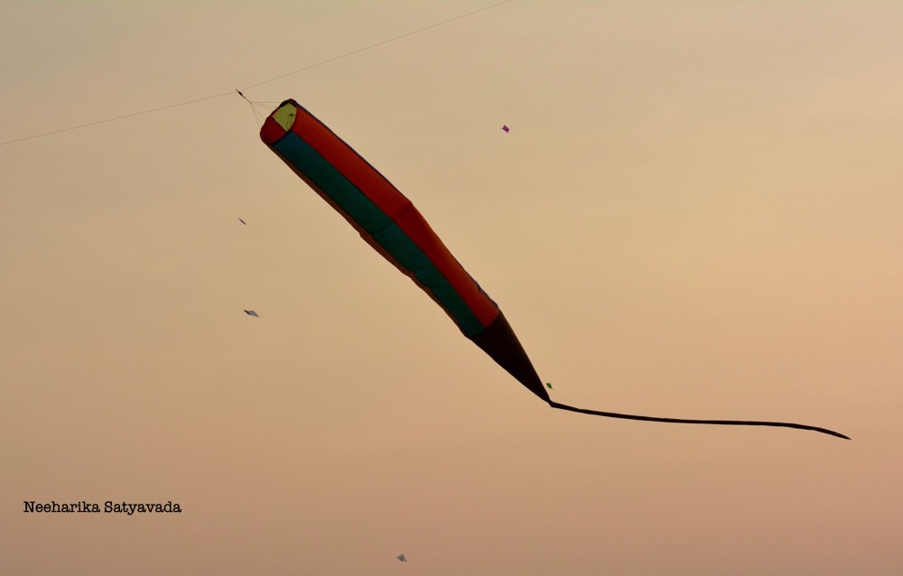 Kites_Indian Festivals