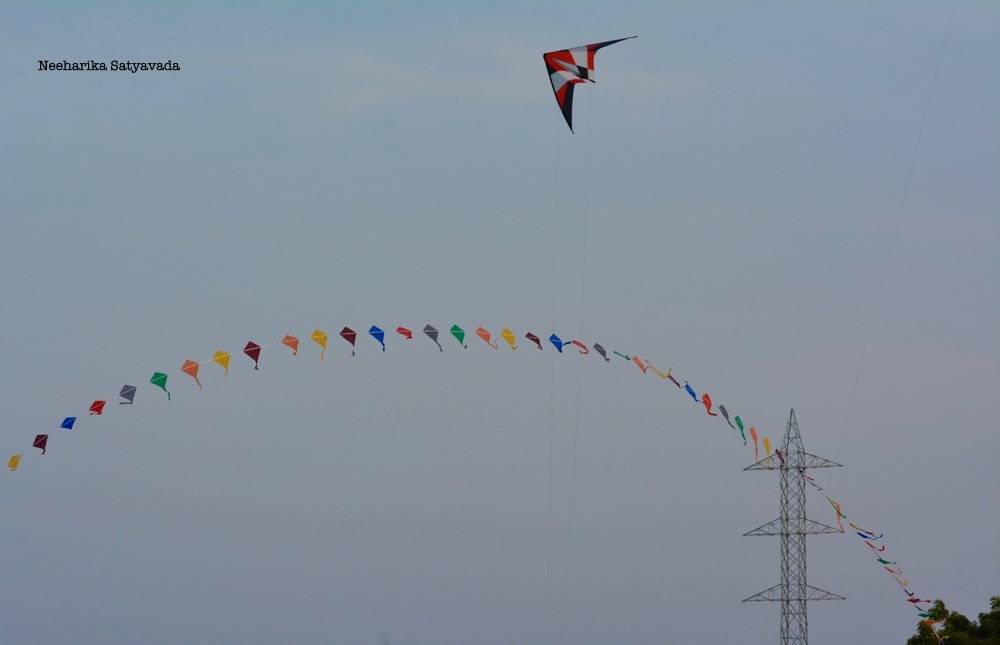 Kites_Indian Festivals