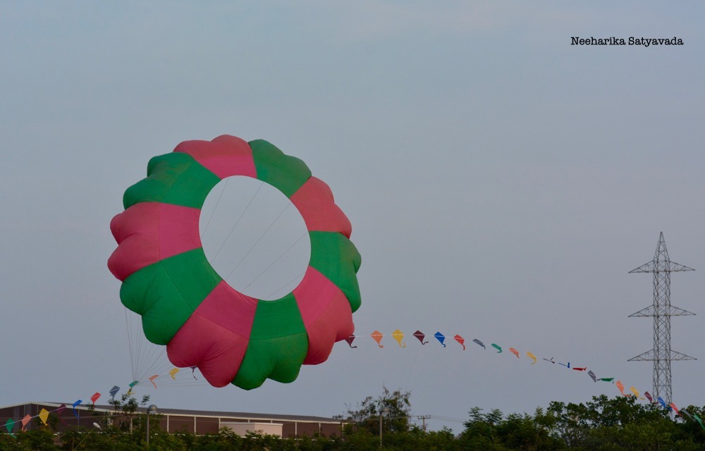 Kites_Indian Festivals