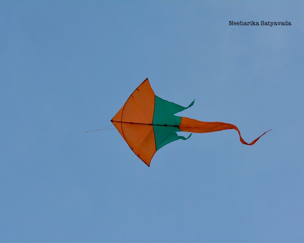 Kites_Indian Festivals