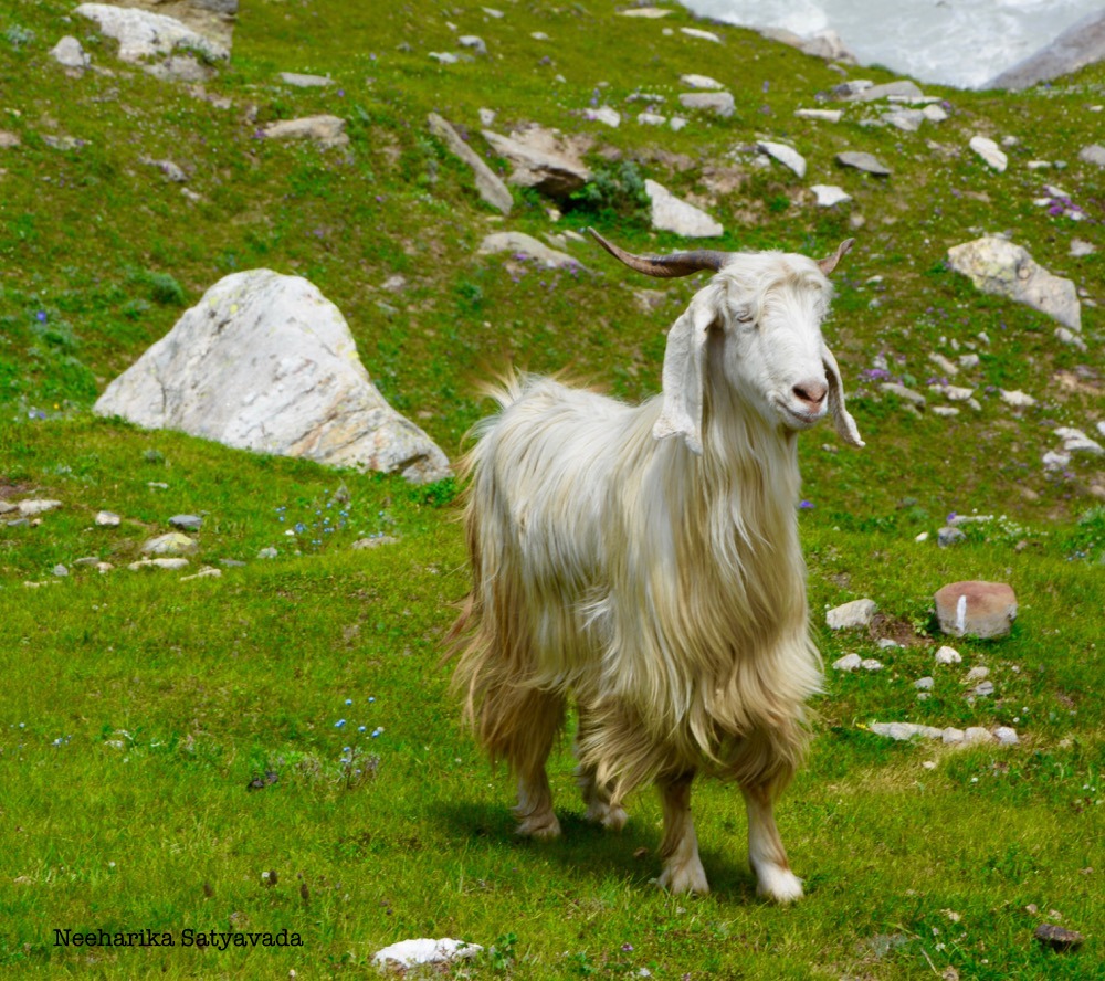 Lahaul & Spiti_Himachal_India