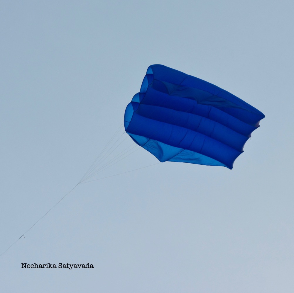 Kites_Indian Festivals