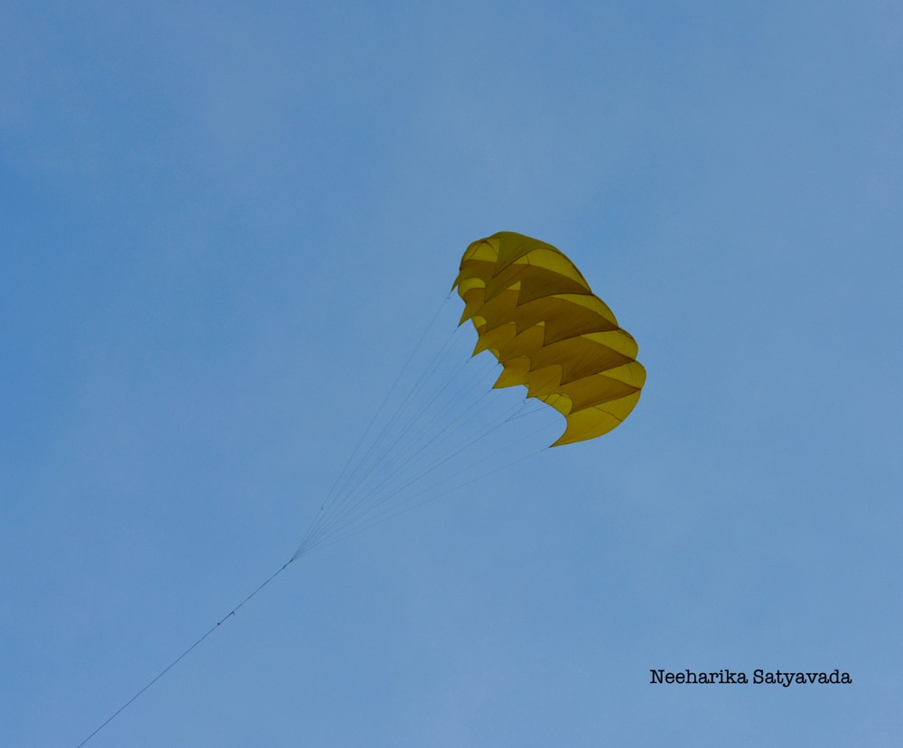Kites_Indian Festivals