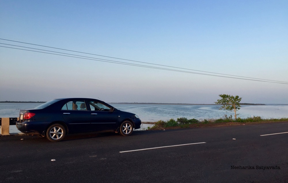 Pulicat Lake_8.jpg