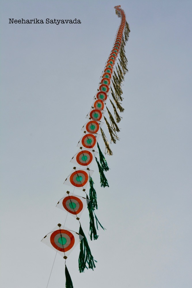 Kites_Indian Festivals