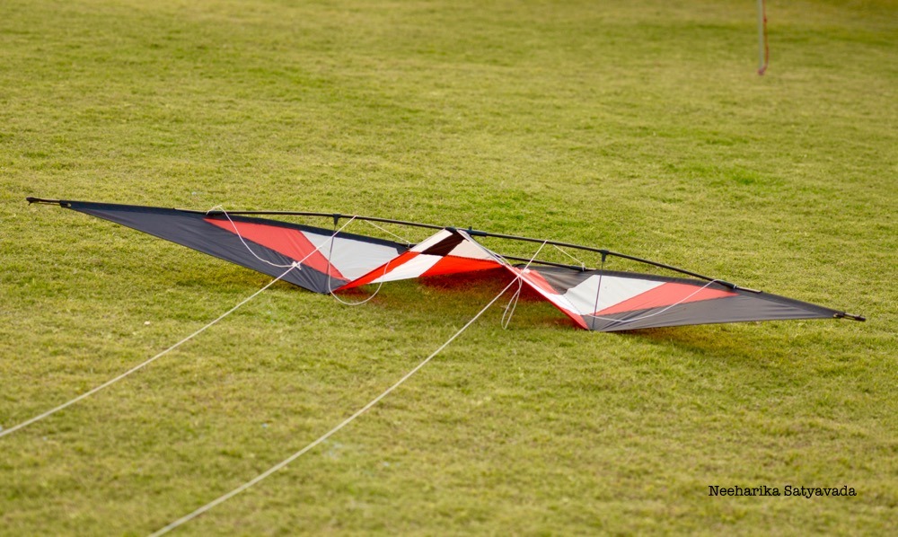 Kites_Indian Festivals