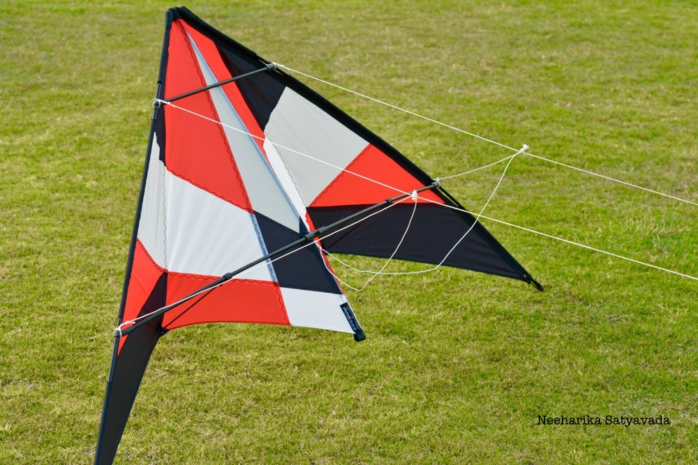 Kites_Indian Festivals