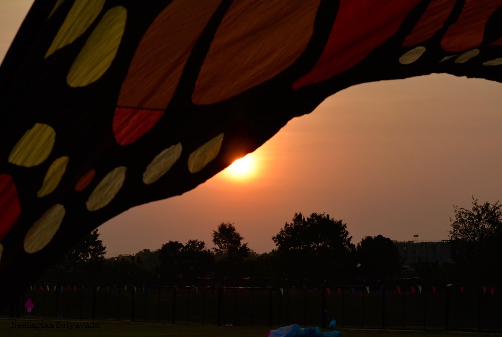 Kites_Indian Festivals