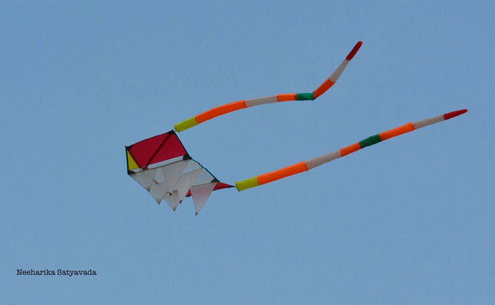 Kites_Indian Festivals