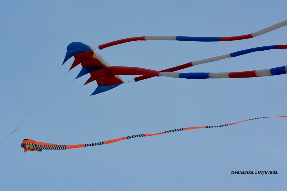 Kites_Indian Festivals