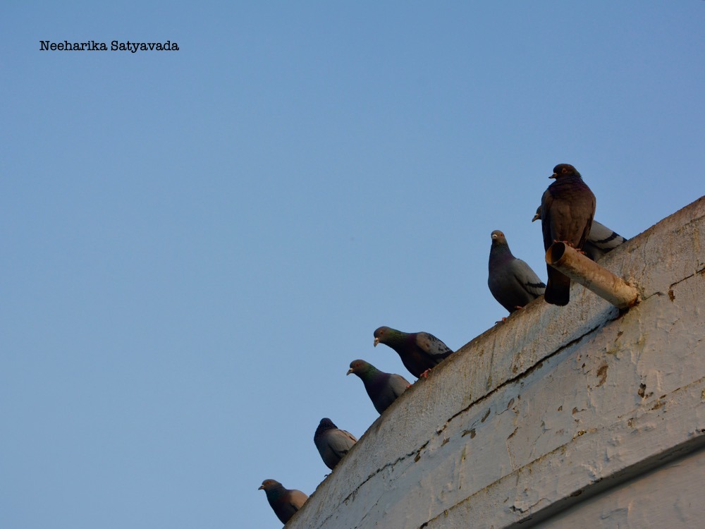 Travel Blog_Heritage Buildings in Hyderabad