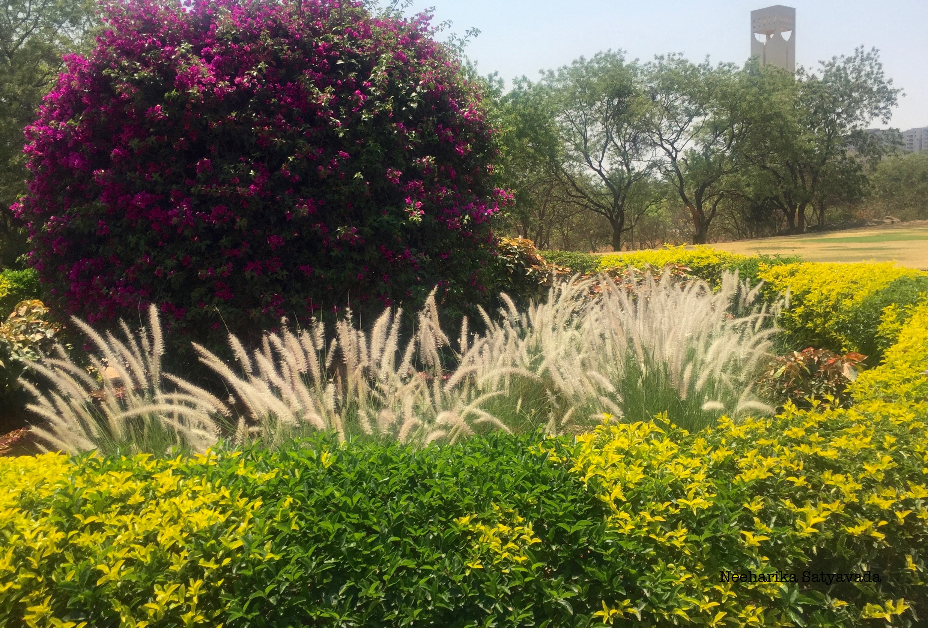 Travel Blog_Hyderabad_Photographer