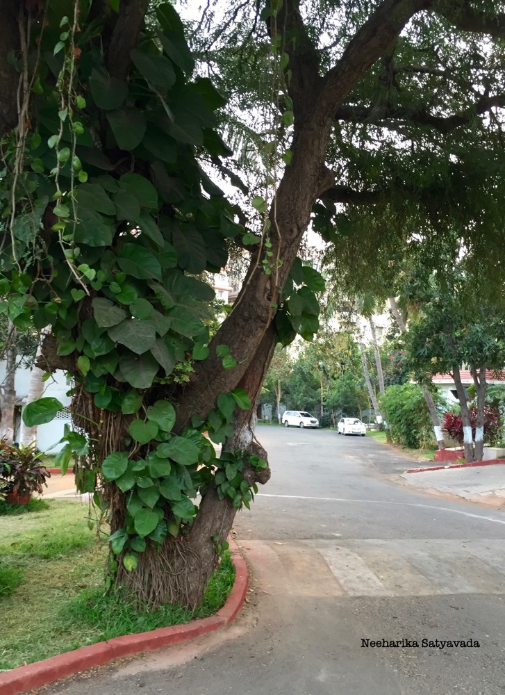 Travel Blog_Vizag_Photographer