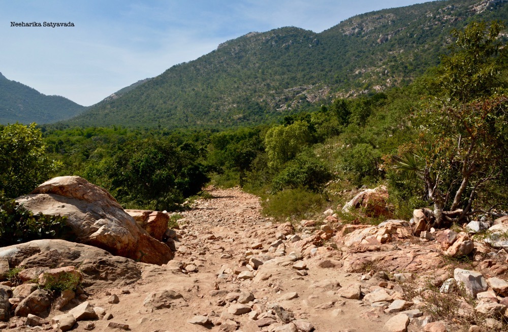 Ubbalamadugu Waterfalls_Tada Falls