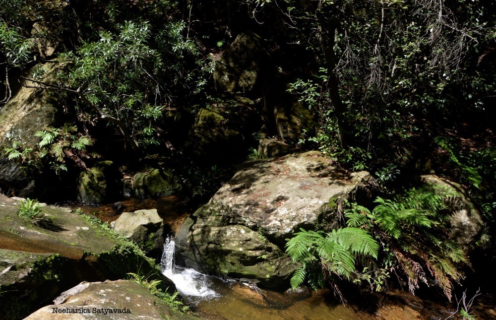 Blue Mountains_Australia_Travel Photos