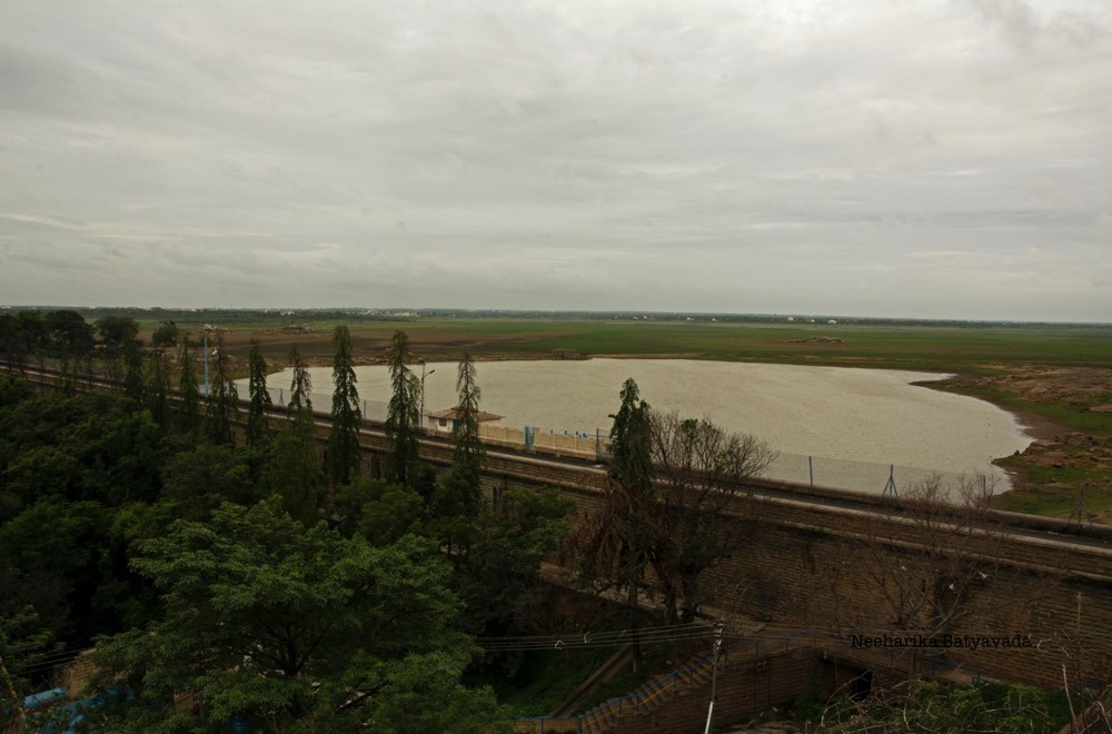 DSC_1008 (1)