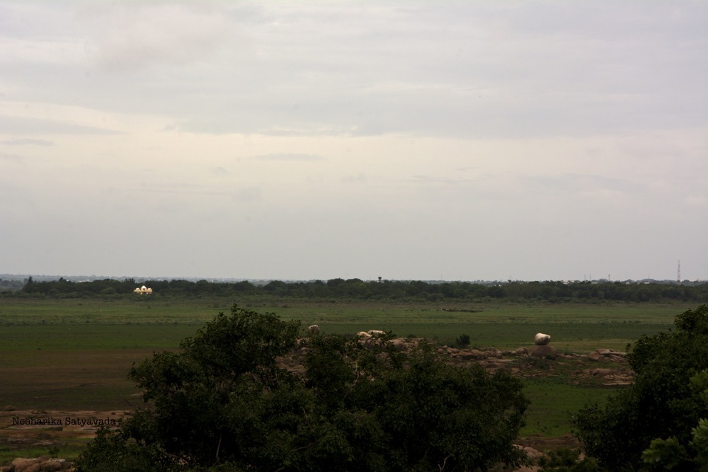 DSC_1016