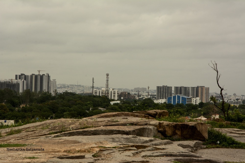 DSC_1025.jpg