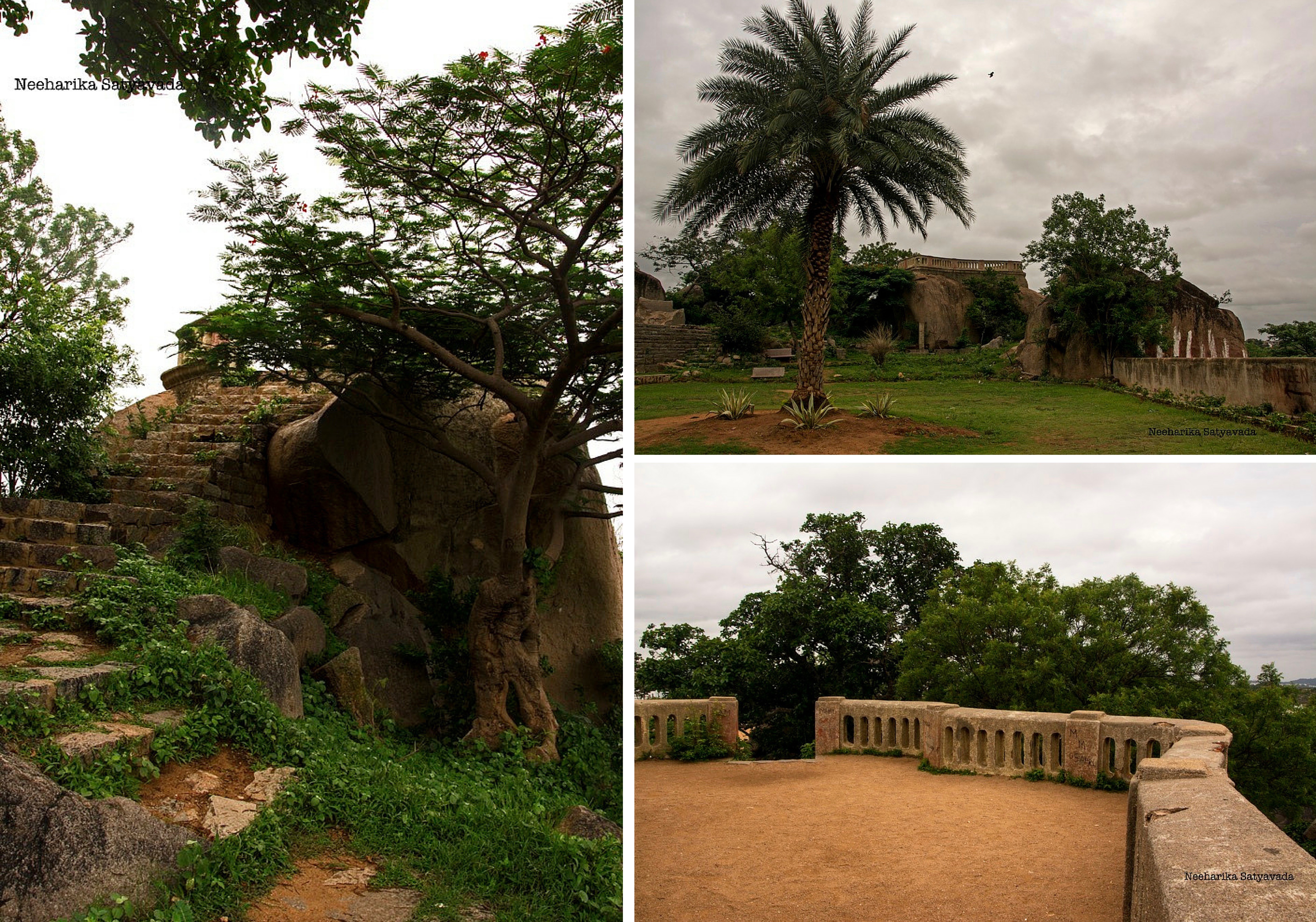 Gallery 2