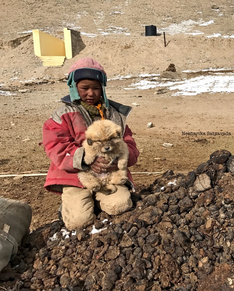 Nomads of India_Changpa Community_Travel Photographer