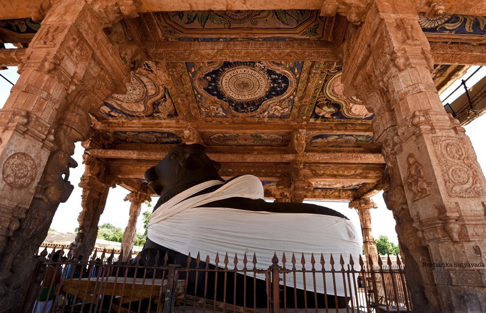 Monolithic Nandi at Thanjavur's Big Temple copy