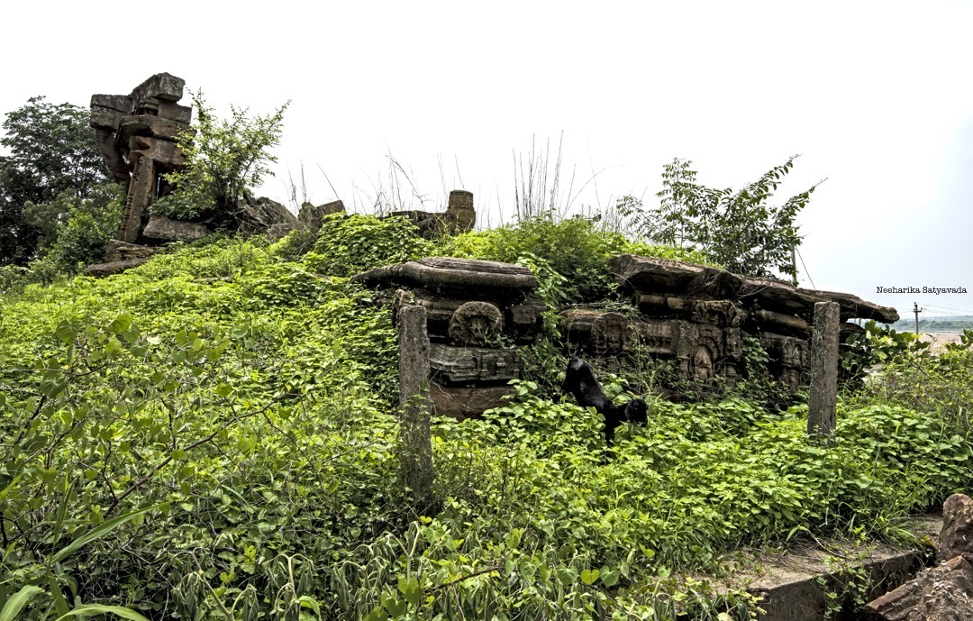 DSC_0227 copy.jpg