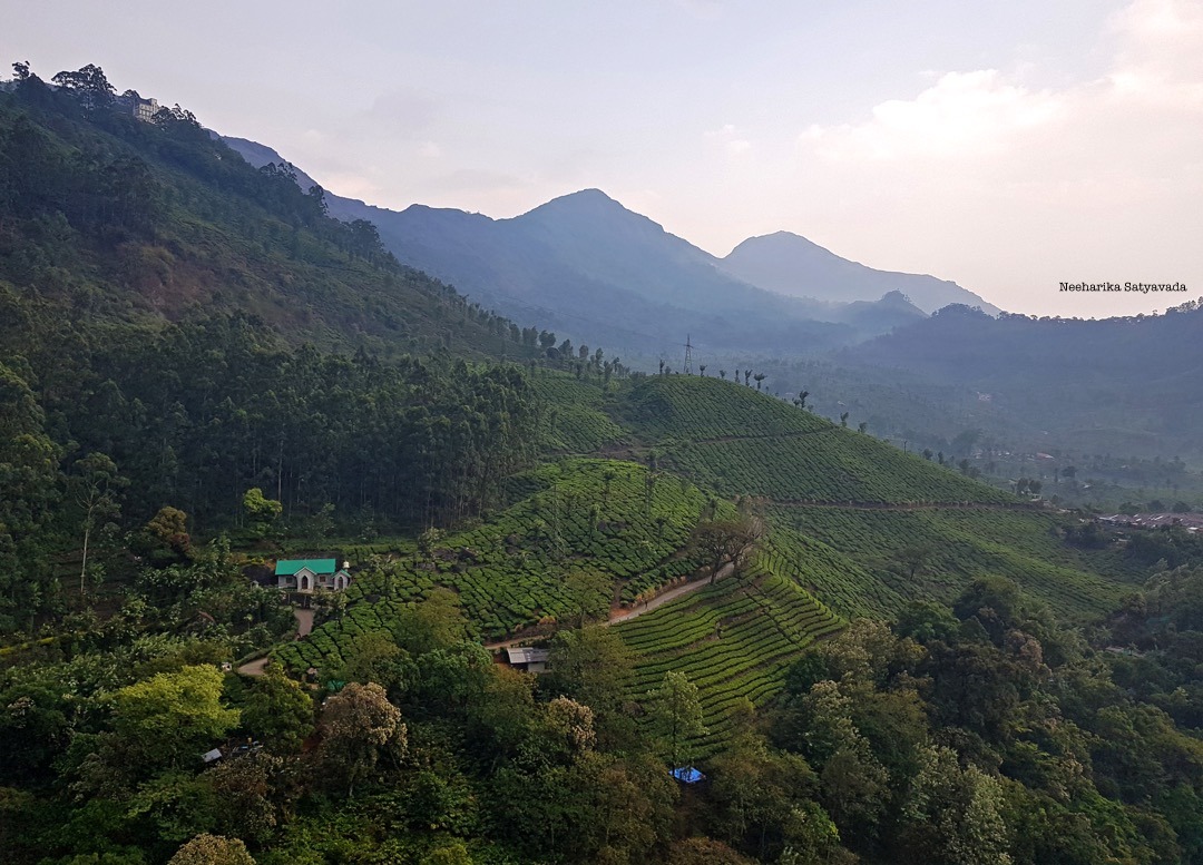Blanket Hotel & Spa_Munnar Plantation Resort