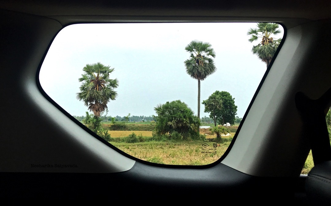 Road Tripping through Konaseema