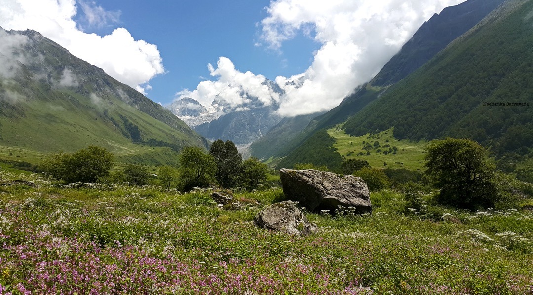 valley of flowers_4.jpg